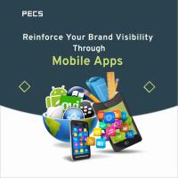 Planet E-Com Solutions(PECS) image 7